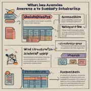 留学生可以使用哪些途径申请奖学金？