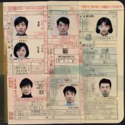 年中国公民赴日本旅游时需持有哪种类型的护照？