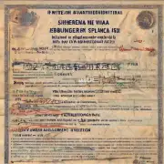 如果您曾有过拒绝签发申根签证的历史纪录请说明原因和结果是什么？