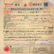 如果我是一个中国公民我想办理上海韩国签证我应该怎样填写签证表格?我可以用中文填写吗?