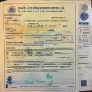 签证申请过程中需要提供哪些文件?