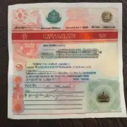 什么是泰国精英签证？