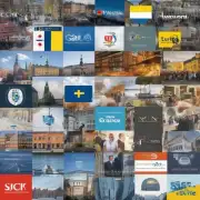 哪些公司在瑞典提供了免费咨询和指导呢？