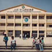 如果学生已经收到了学校的录取信和I表格但他们没有接受学校提供的奖学金或助学贷款计划怎么办呢？