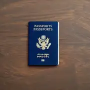 哪些国家允许持有公务护照的人免签入境？