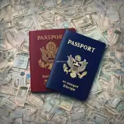 您在申请签证时是否必须提供护照？