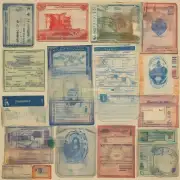 您可以使用哪种类型的护照去申请？