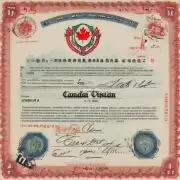哪些文件和资料是必须准备以成功获得加拿大旅游签证呢？