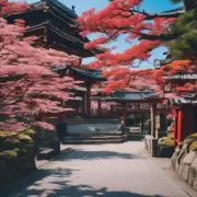 我想前往日本留学或者学习日语课程该如何准备材料办理手续以及注意事项是什么？