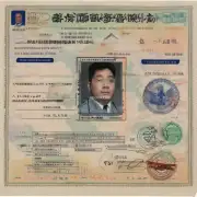 签证检查的内容包括什么？