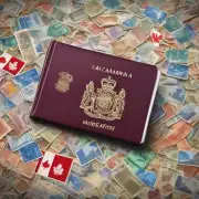 问答加拿大大使馆签发哪些类型的签证？
