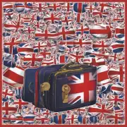 你对英国年多次往返签证有什么疑问吗？