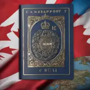 在填写加拿大大使馆签发的新版加拿大战国护照时应该使用哪种颜色墨水？黑色还是蓝色呢？
