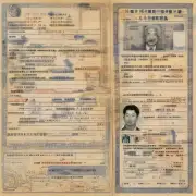 如果在一个人的护照过期且无法及时更新时他在中国境内是否可以使用临时身份证件来替代他的有效证件以便于完成必要的业务操作和交易？
