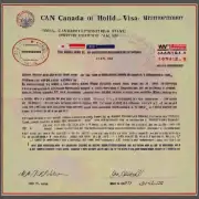 加拿大人民可以持有tn visa吗？