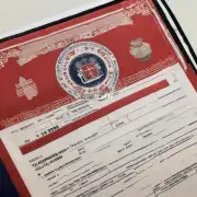 如果我在网上找到了一个旧的新加坡旅游签证表格怎么办呢？