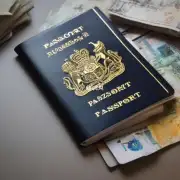 如何在官方网站上查看我的护照签发电子版？