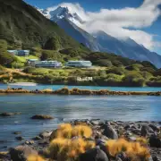 您是否知道最近有关于新西兰旅游签证的新闻报道？