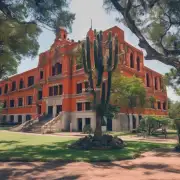 有哪些著名的墨西哥留学中介学校？