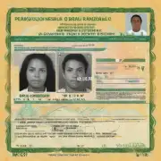 在获得巴西居民身份证之前是否可以申请个人旅行许可证PT去巴西？