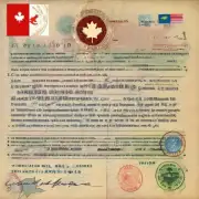 我是否可以使用加拿大国籍身份来获取tn visa？