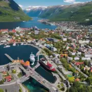 我有哪些选择可以获得挪威学生旅游签证？