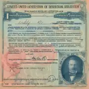 如何申请和获取一份临时的替代性的美国身份标识例如国际驾照来代替遗失了或者没有持有有效的美国护照的人去其他国家旅游吗？