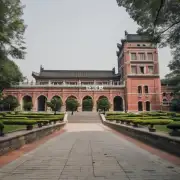 什么是武汉大学？