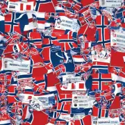 挪威签证有哪些类型的申请方式和所需材料清单呢？
