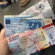 我已经购买了机票回国但是因为签证未批准而无法出境应该怎么办？