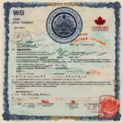 什么是加拿大大使馆签发的旅游签证？