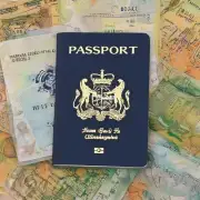 markdown 年巴西将开放私人护照申请吗？
