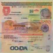 visa type st b 是针对哪个国家或地区的签证呢？