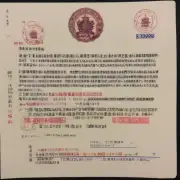 如果我的签证已经被取消撤回但我想继续旅行并在另一个国家停留一段时间例如两周后再回来到中国我可以重新提交新的旅游签证申请来实现这个目标是正确的做法吗？