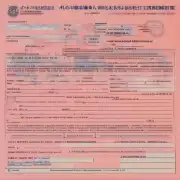 在填写表格时如何提供新加坡签证号码？