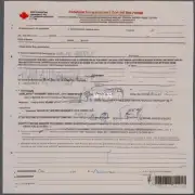 如何填写加拿大大学生签证表格F吗？有哪些注意事项需要注意？
