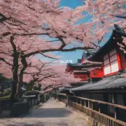你有在日本留学的经历么？