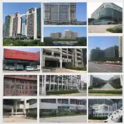 深圳留学中介中那些比较值得信赖的机构是哪些？
