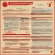 针对那些持有中国护照的人士而言有哪些特别适用于他们的在线签证申请选项可供选择？