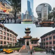 哪些学校和专业适合留学生在上海学习？