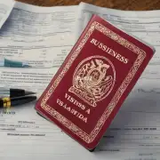 什么是商务签证？它在澳大利亚的具体用途是什么？