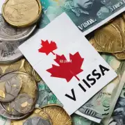 如果我没有足够的资金来支付加拿大签证费用该怎么办呢？