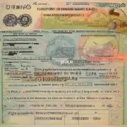 如何申请美国旅游签证？