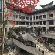 济南市是否可为非居民公民提供工作签证?