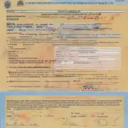 完成澳大利亚的移民体检后我可以通过电子邮件查询我的签证申请状态吗?