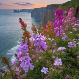 我们总是会羡慕开在悬崖边上的美丽花朵，那是因为花朵盛开的地方是我们无法到达的。