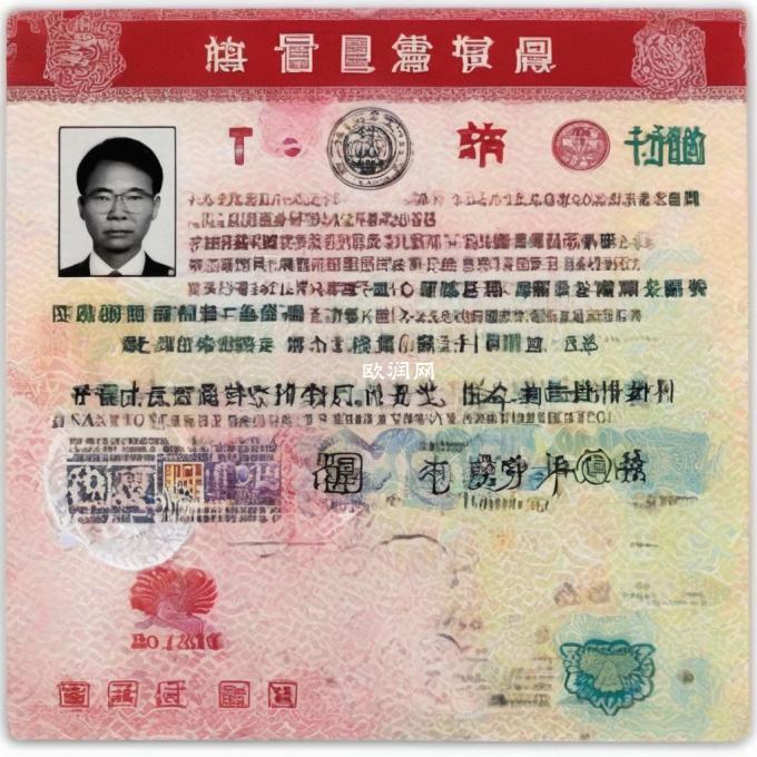 在中国办理护照时是否必须提供坦桑尼亚签证？